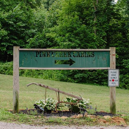Pine Creek Cabins & Camping Resort South Bloomingville Kültér fotó